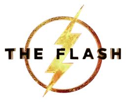 Flash logo