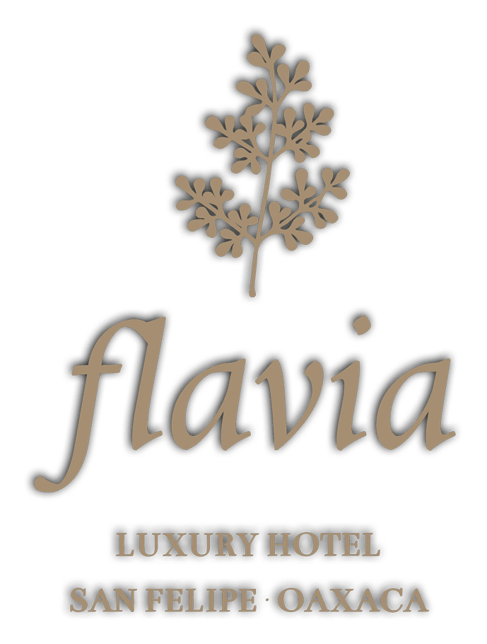 Flavia logo, horizontal version, on a transparent background