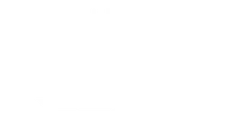 Fly Racing logo, white version, on a transparent background