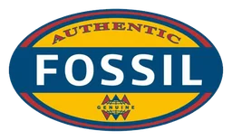 Fossil logo
