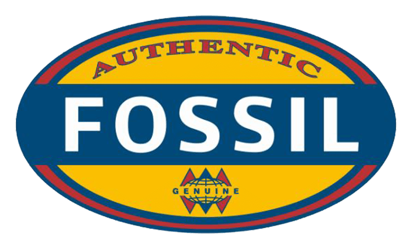 Fossil logo on a transparent background