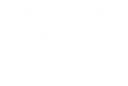 Franklins logo, white version, on a transparent background