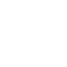Freecom logo, white icon version, on a transparent background