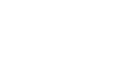 Future Everything logo, white version, on a transparent background