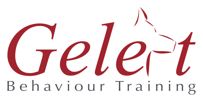 Gelert logo on a transparent background