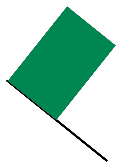 Green Flag logo, horizontal version, on a transparent background