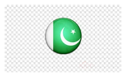 Green Flag logo, white version, on a transparent background