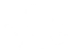 Guildwars logo, white version, on a transparent background