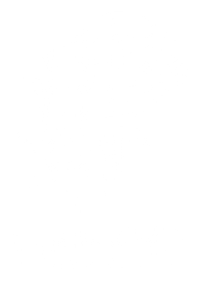 Hamachi logo, white version, on a transparent background