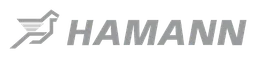 Hamann logo, monochrome wordmark version, on a transparent background