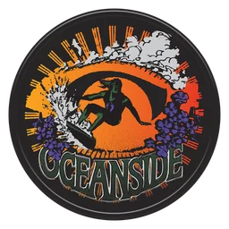 Hang Ten logo