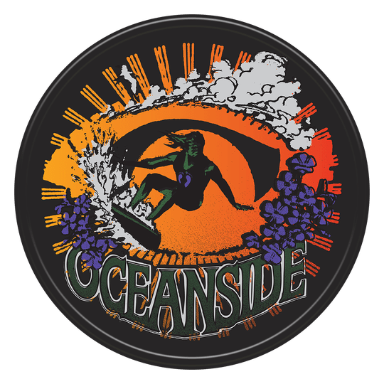 Hang Ten logo on a transparent background