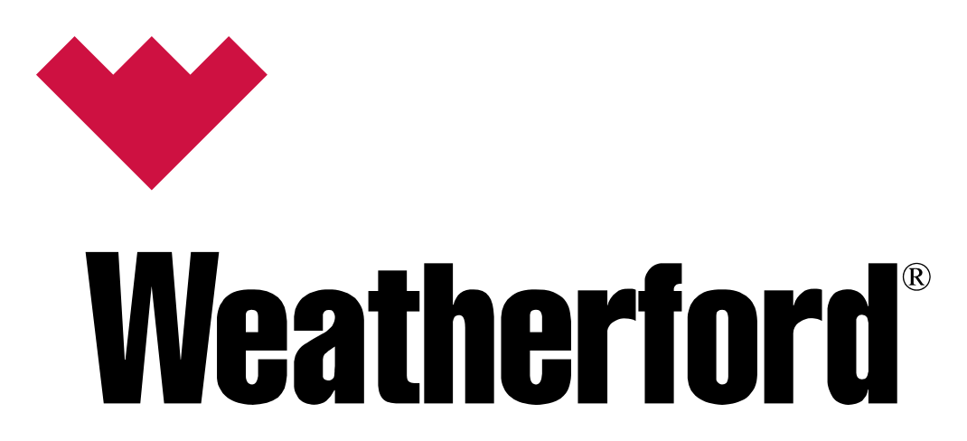 Hanix logo on a transparent background