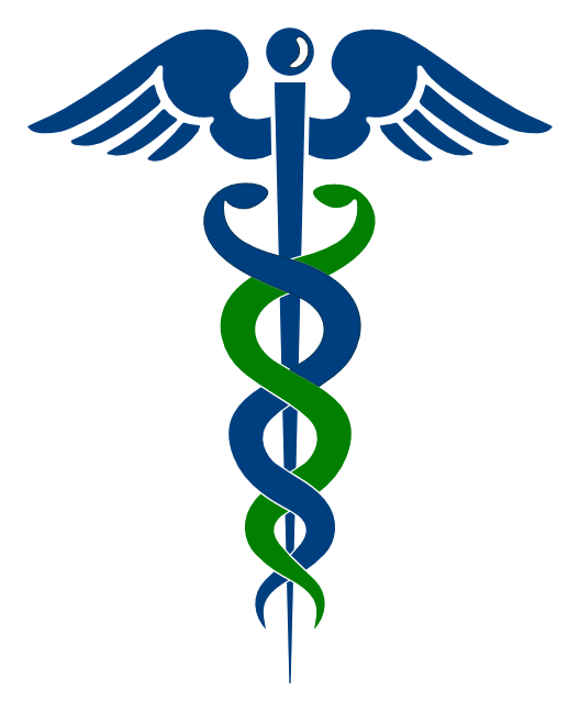 Healthcare logo, icon version, on a transparent background