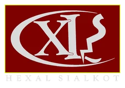 Hexal logo, horizontal version, on a transparent background