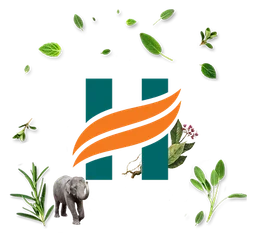 Himalaya logo, icon version, on a transparent background