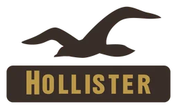 Hollister logo