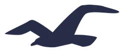 Hollister logo, black wordmark version, on a transparent background