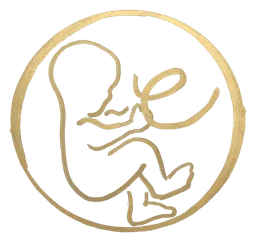 Houston Fertility Specialists logo, icon version, on a transparent background