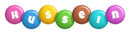 Husse logo, wordmark version, on a transparent background