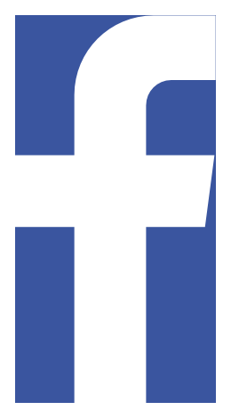 Icon logo on a transparent background