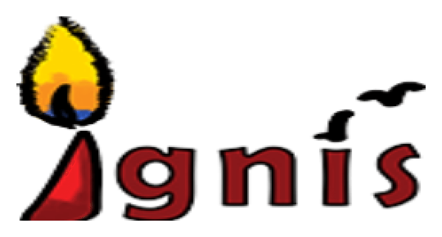 Ignis logo on a transparent background
