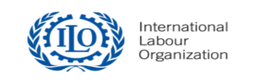 Ilo logo, wordmark version, on a transparent background