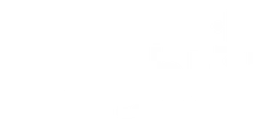 Logo Insight, version blanc, sur fond transparent