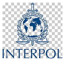 Interpol logo, icon version, on a transparent background