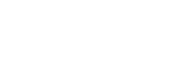 Intracom Logo, Variante Wortmarke weiß, auf transparentem Hintergrund