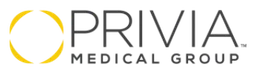 Iv Interactive logo, wordmark version, on a transparent background
