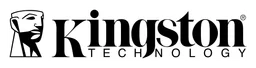 Kingston logo