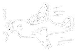 Labello logo, white version, on a transparent background