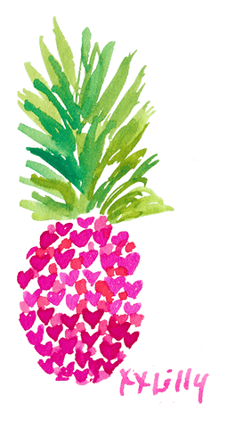 Lilly Pulitzer logo, horizontal version, on a transparent background