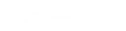 LWV logo, white wordmark version, on a transparent background