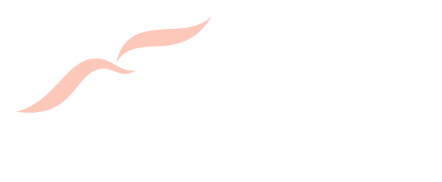Mary Kay logo on a transparent background