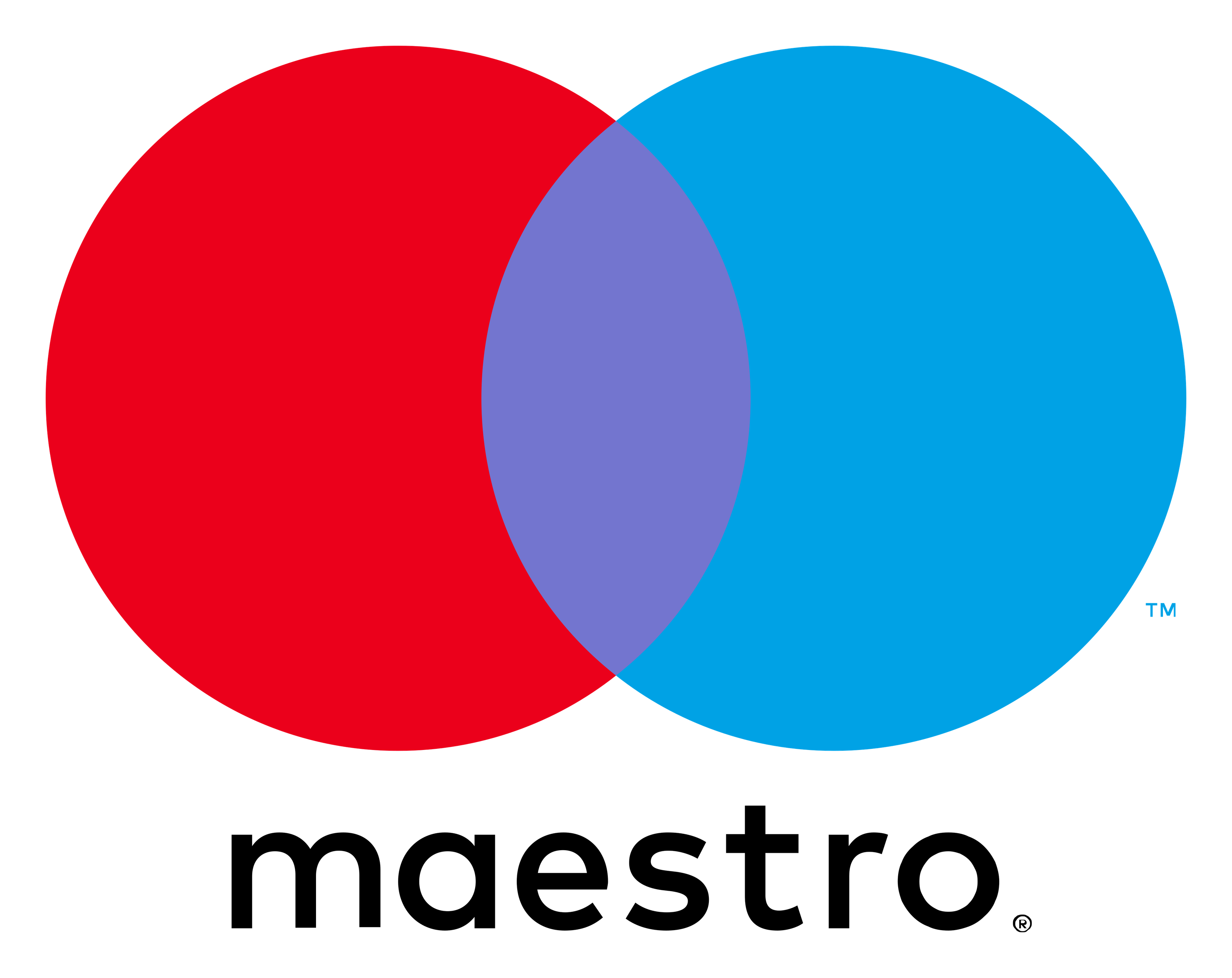 Mastercard Maestro logo on a transparent background