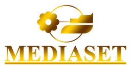 Mediaset logo, horizontal version, on a transparent background