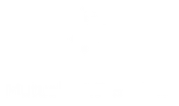 Medishares logo, white version, on a transparent background