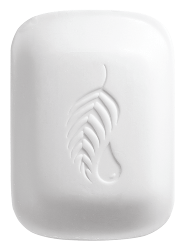 Melaleuca logo, white version, on a transparent background