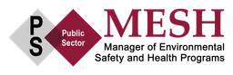 Mesh Conference logo