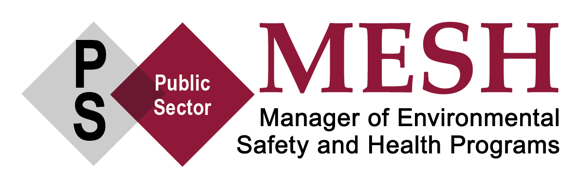 Mesh Conference logo on a transparent background