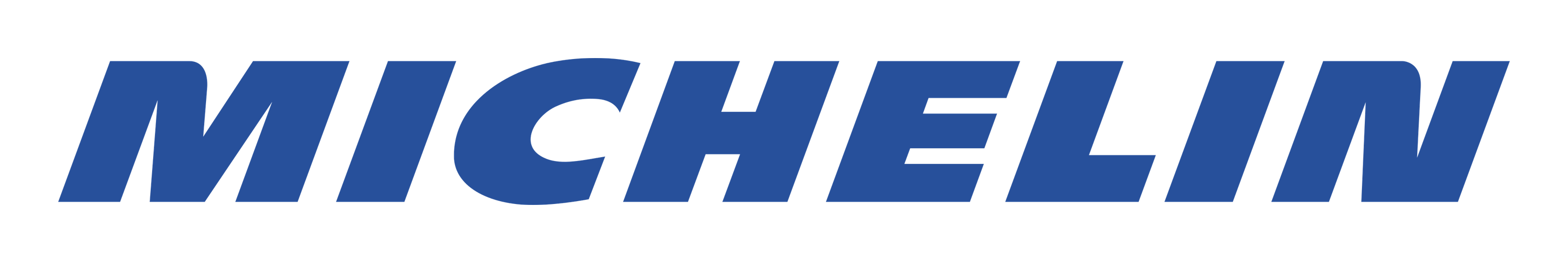 Michelin logo on a transparent background