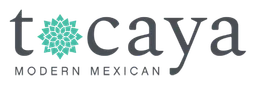 Modern Plaza logo, wordmark version, on a transparent background