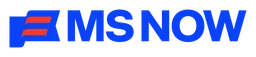 MSN logo