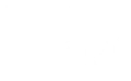 MTV logo, white version, on a transparent background
