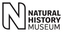 Museum London logo, black version, on a transparent background