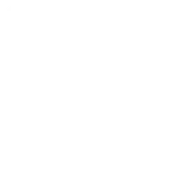 Nabisco のロゴ、ホワイト アイコンバージョン（背景透過）