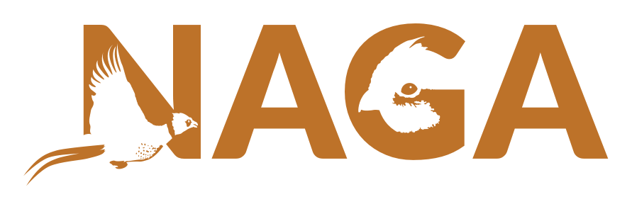 Naga logo on a transparent background