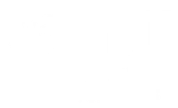 Nami logo, white version, on a transparent background